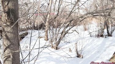 Ненасытные русские любовники несмотря на холод трахаются в парке зимой
