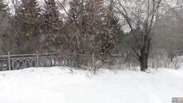 Отсасываю своему парню зимой в городском парке и глотаю сперму