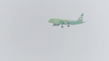 Отсасываю своему парню зимой в городском парке и глотаю сперму