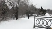 случайные прохожие