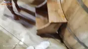 зрелая тетя разделась перед племянником