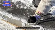 пикапер снимает девушку на улице