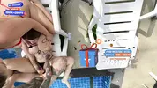кончает на плавки телке в групповухе