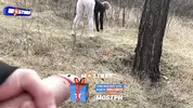 эксгибиционист дрочит хуй в парке на спортсменок