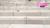 подбирает потерянные девушкой бабки
