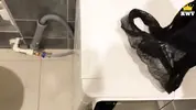 нашел грязные трусики мачехи в ванной